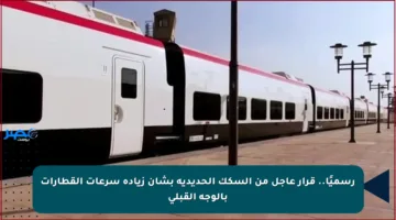 رسميًا.. قرار عاجل من السكك الحديدية بشأن زيادة سرعات القطارات بالوجه القبلي